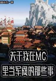 关于我在MC里当军阀的三事